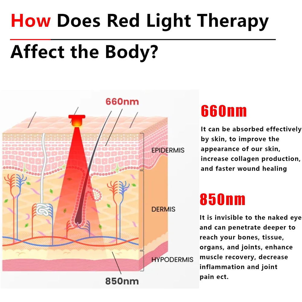 2025 New 60 Leds Red and Near- - Galvanic Skin Sensor 리뷰 및 가격