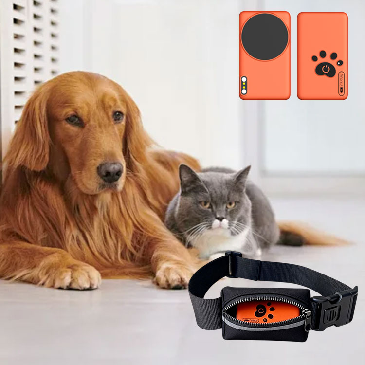 AI Wearable Pet Health Monitor - Breath Rate Monitor 리뷰 및 가격